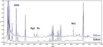 The Antidepressant-Like Effects of Shen Yuan in a Chronic Unpredictable Mild Stress Rat Model